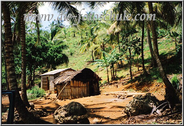 Whrend der Jeep Tour auf dem Weg nach Samana Stadt