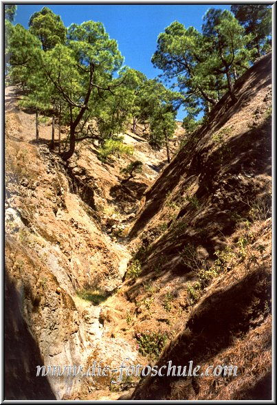 Caldera23LaPalma