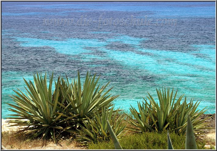 Punta_Prima_08.jpg - Die unterschiedlichen Farben des Meeres sind eines der Dinge, die dem Besucher Menorcas nachhaltig in Erinnerung bleiben. Dieses Bild entstand ein paar Kilometer vom Massenstrand in Punta Prima entfernt.