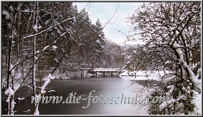 See und Wald und Bruecke